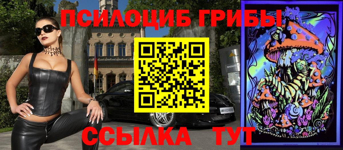 Псилоцибиновые грибы прущие грибы Печора